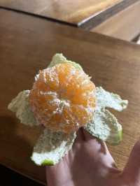 여름이 떠나가기 전 동쪽 제주 🌻