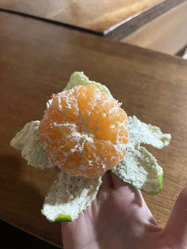 여름이 떠나가기 전 동쪽 제주 🌻