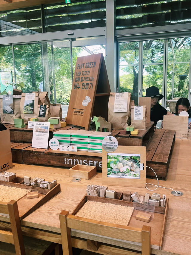 🇰🇷室內活動大集合雪綠茶體驗  🍵