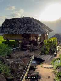 บ้านป่าบงเปียง เสน่ห์นาขั้นบันไดแห่งเชียงใหม่