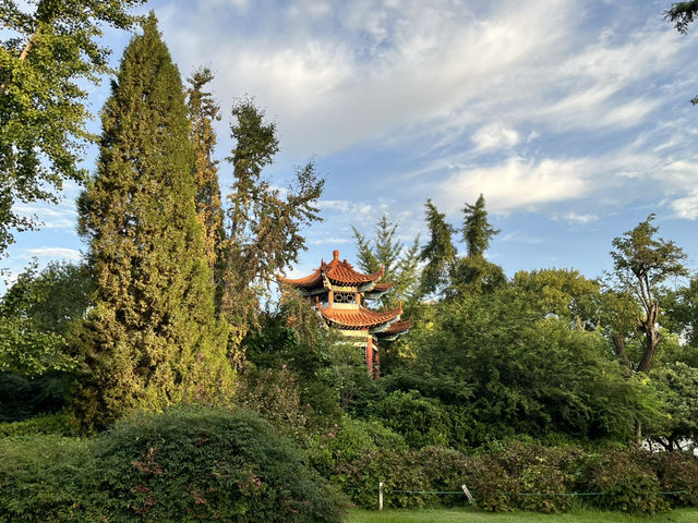 🕰🌳 Zhengzhou People’s Park — The City’s Living Square