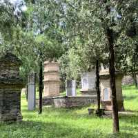 🛕 Shaolin Temple — Cradle of Kung Fu & Zen