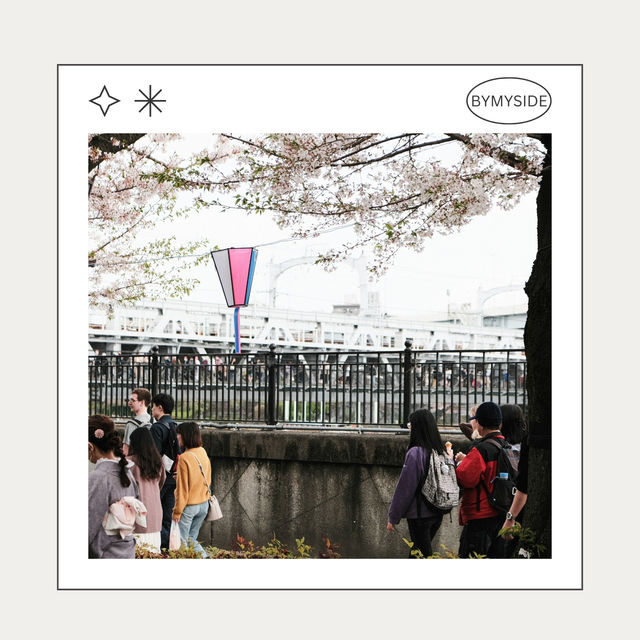 🌸 Sumida Park – ซากุระคู่ตึก Tokyo Skytree