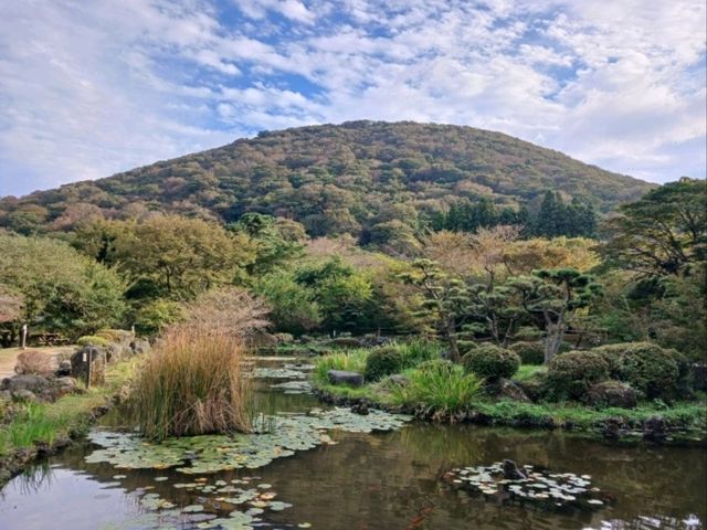 🌲 절물오름 – 삼나무 숲의 청량한 공기 🌲 절물오름 – 삼나무 숲의 청량한 공기