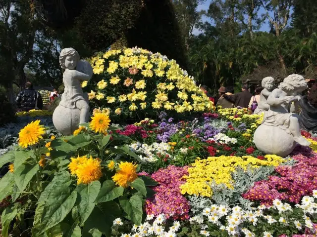 🌸 士林官邸菊花展:台北秋日最美的花海盛會