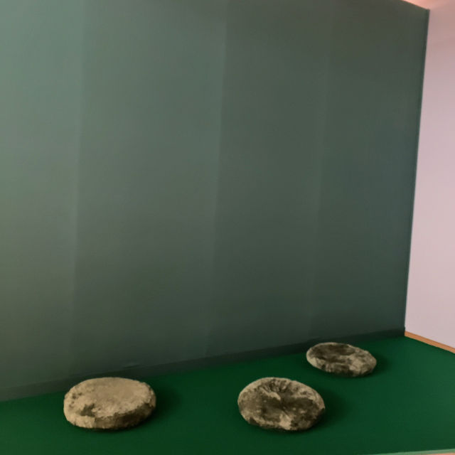 【東京都現代美術館🇯🇵 開館30周年記念展 日常のコレオ】