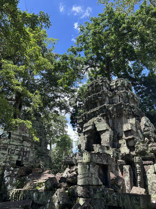 Angkor Wat Amazing! 