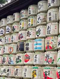 東京明治神宮🎏闖入鬧市中的靜謐，偶遇一場日式浪漫🎎