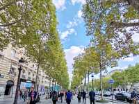 A Classic One-Day Paris Citywalk