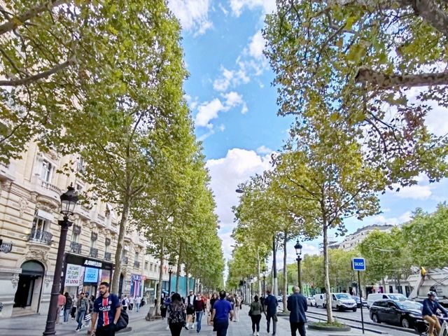 A Classic One-Day Paris Citywalk
