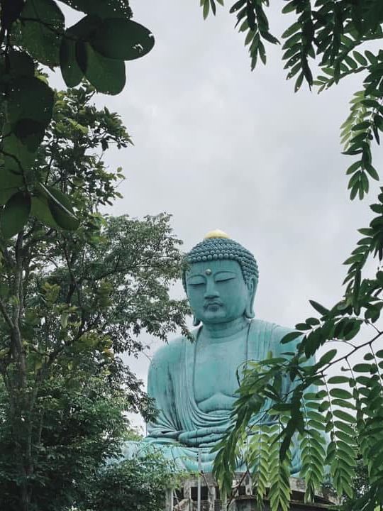 พระใหญ่ไดบุตซึ วัดพระธาตุดอยพระฌาน 🌲