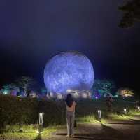 제주 밤에 열린 또 하나의 우주, 루나폴🌕✨