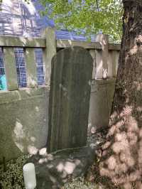 【東京都入谷🇯🇵 小野照崎神社】学問、芸術、芸能などご利益たくさん☺️入谷にある神社へ