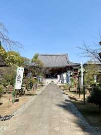 【東京都上野🇯🇵 東叡山寛永寺開山堂】徳川家ゆかりの場所へ☺️