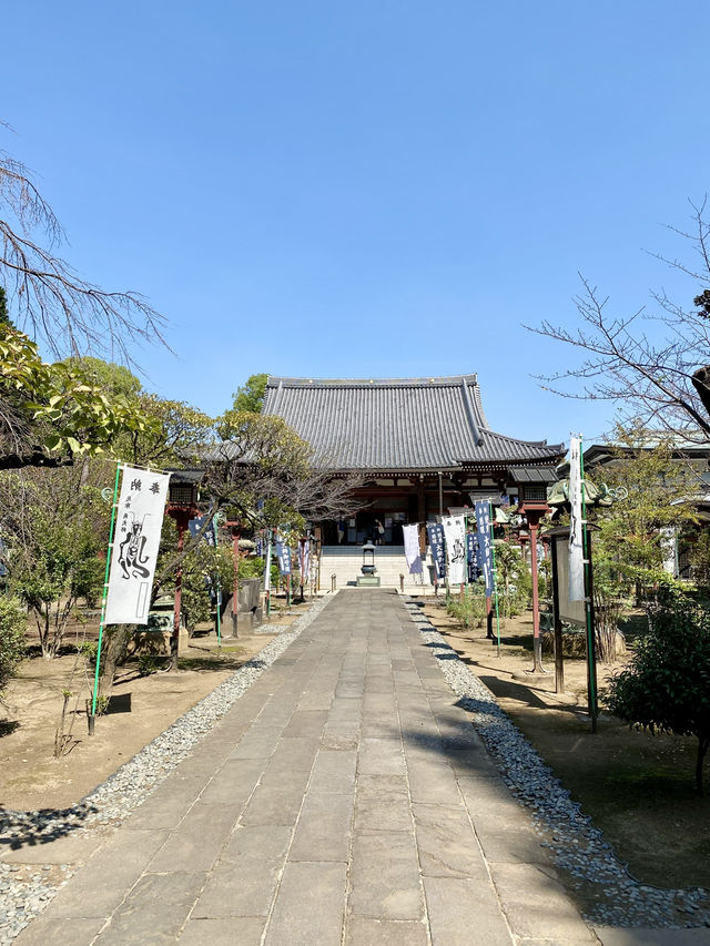 【東京都上野🇯🇵 東叡山寛永寺開山堂】徳川家ゆかりの場所へ☺️ 【東京都上野🇯🇵 東叡山寛永寺開山堂】徳川家ゆかりの場所へ☺️