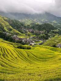 Rice Terrace