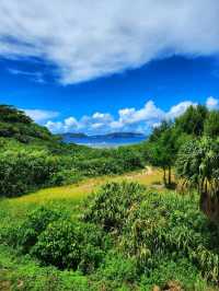 🏝渡嘉敷島深度遊 • 沉浸慶良間藍 • 海灘・自然・賞鯨全攻略🌊