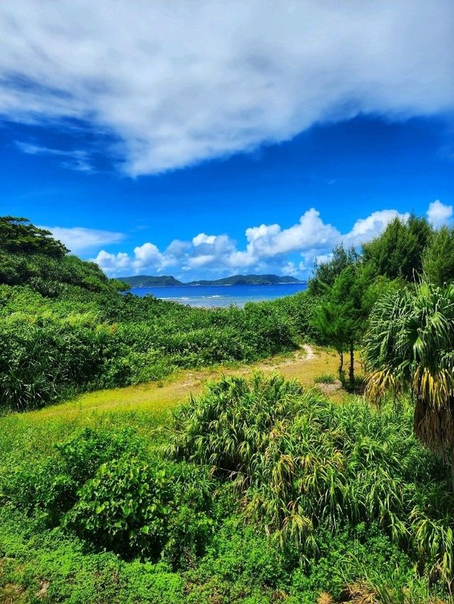 🏝渡嘉敷島深度遊 • 沉浸慶良間藍 • 海灘・自然・賞鯨全攻略🌊