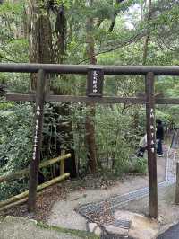 走進高千穗峽，在溪谷與瀑布間體驗神話般的自然奇景
