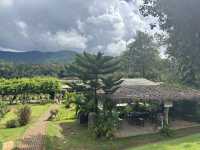 🇹🇭不騎大象也能裝可愛「Elefin Farm & Cafe」