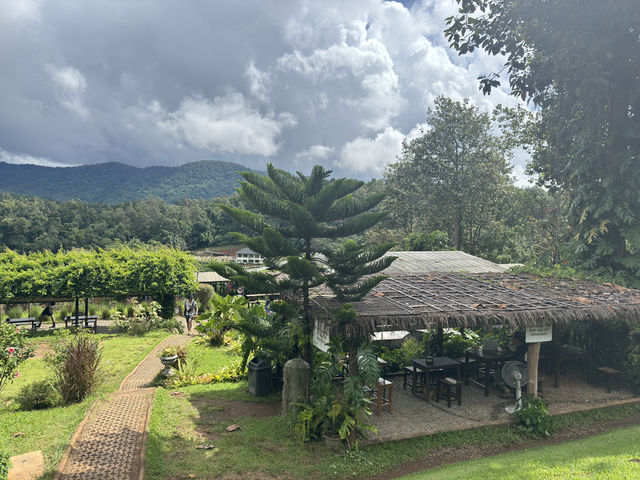 🇹🇭不騎大象也能裝可愛「Elefin Farm & Cafe」
