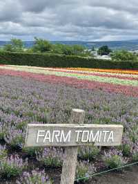 ✨One day trip in Furano แบบไม่เช่ารถ✨