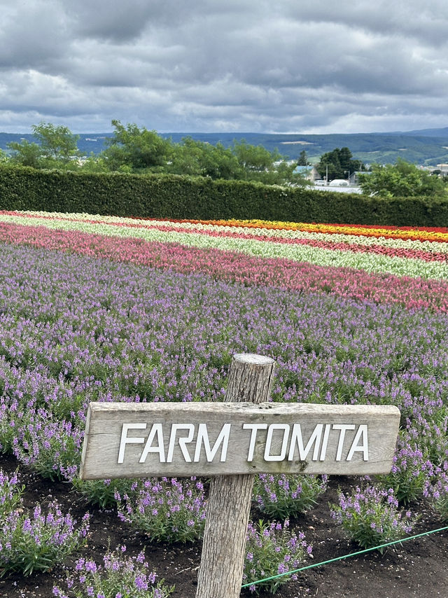 ✨One day trip in Furano แบบไม่เช่ารถ✨