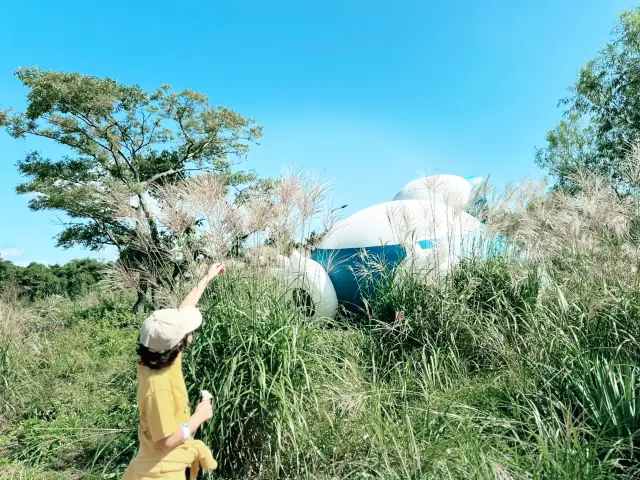 포켓몬이랑 노는 981