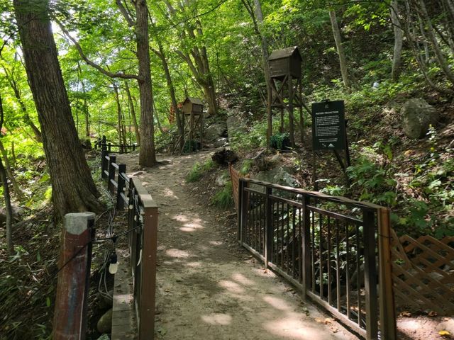북해도 가을여행 조잔케이 후타미 공원