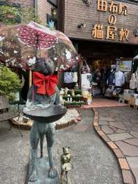 走進童話！由布院一日漫遊：金鱗湖霧景Ｘ湯之坪療癒散策。