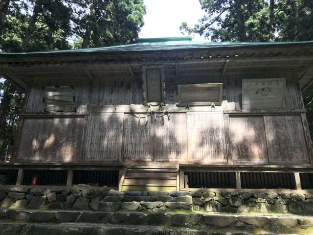 【福井・白山神社平泉寺🌿】苔の聖地で感じる静寂と神仏習合