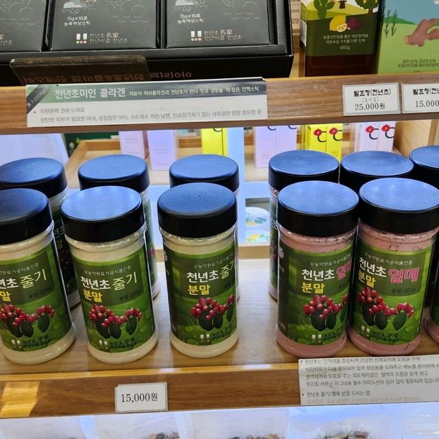 🪩南韓第二外島的玻璃巨蛋植物園&風之熱狗