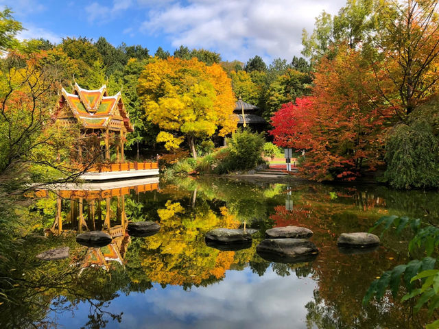 🍁🍂楓葉灑落城市秘景好療癒  🍁🍂