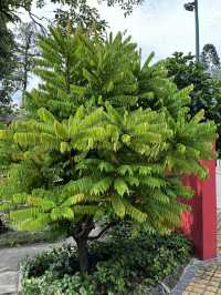 Perdana Botanical Garden: Must-Visit Lush Green Retreat