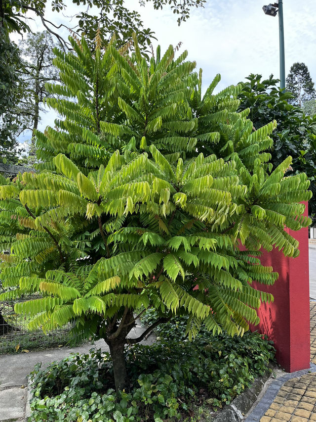Perdana Botanical Garden: Must-Visit Lush Green Retreat