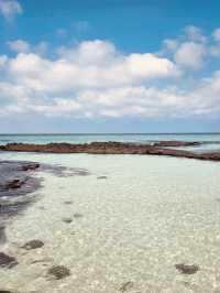 A Windsurfer's and Kiter's Paradise