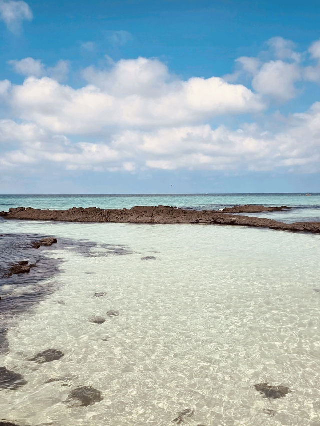 A Windsurfer's and Kiter's Paradise