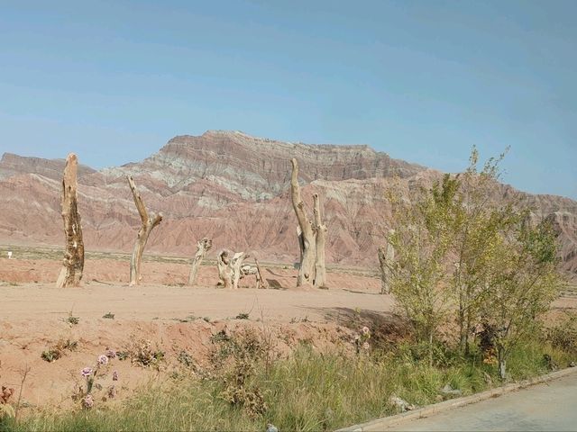A Journey Through the Colors of Danxia Landforms
