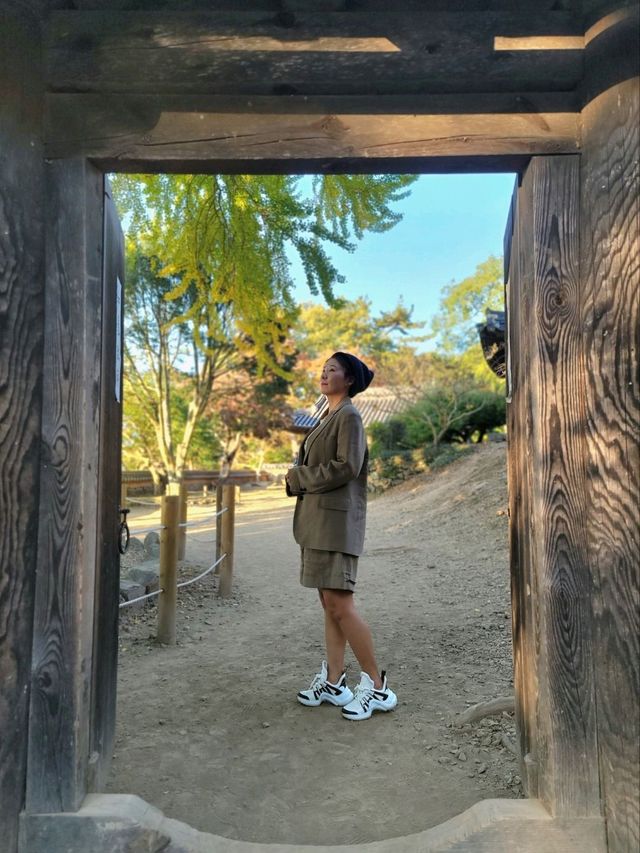 가을이 오면 꼭 가야할 은행나무명소💛