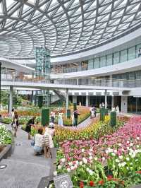 สวนดอกไม้เมืองหนาวระยอง