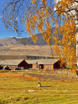 18 張展現秋季風情的新鮮照片🍂