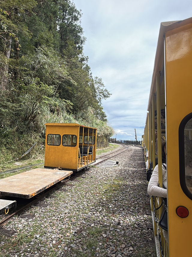 太平山蹦蹦車與古道探秘 太平山蹦蹦車與古道探秘
