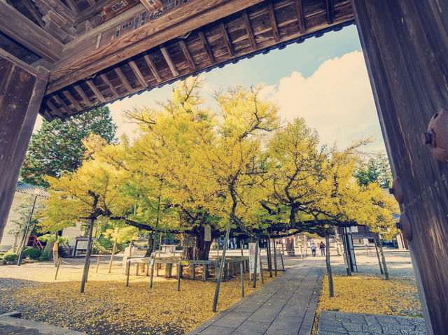 Solo in a Kyoto Secret: The Serene Tenjoji Temple Solo in a Kyoto Secret: The Serene Tenjoji Temple