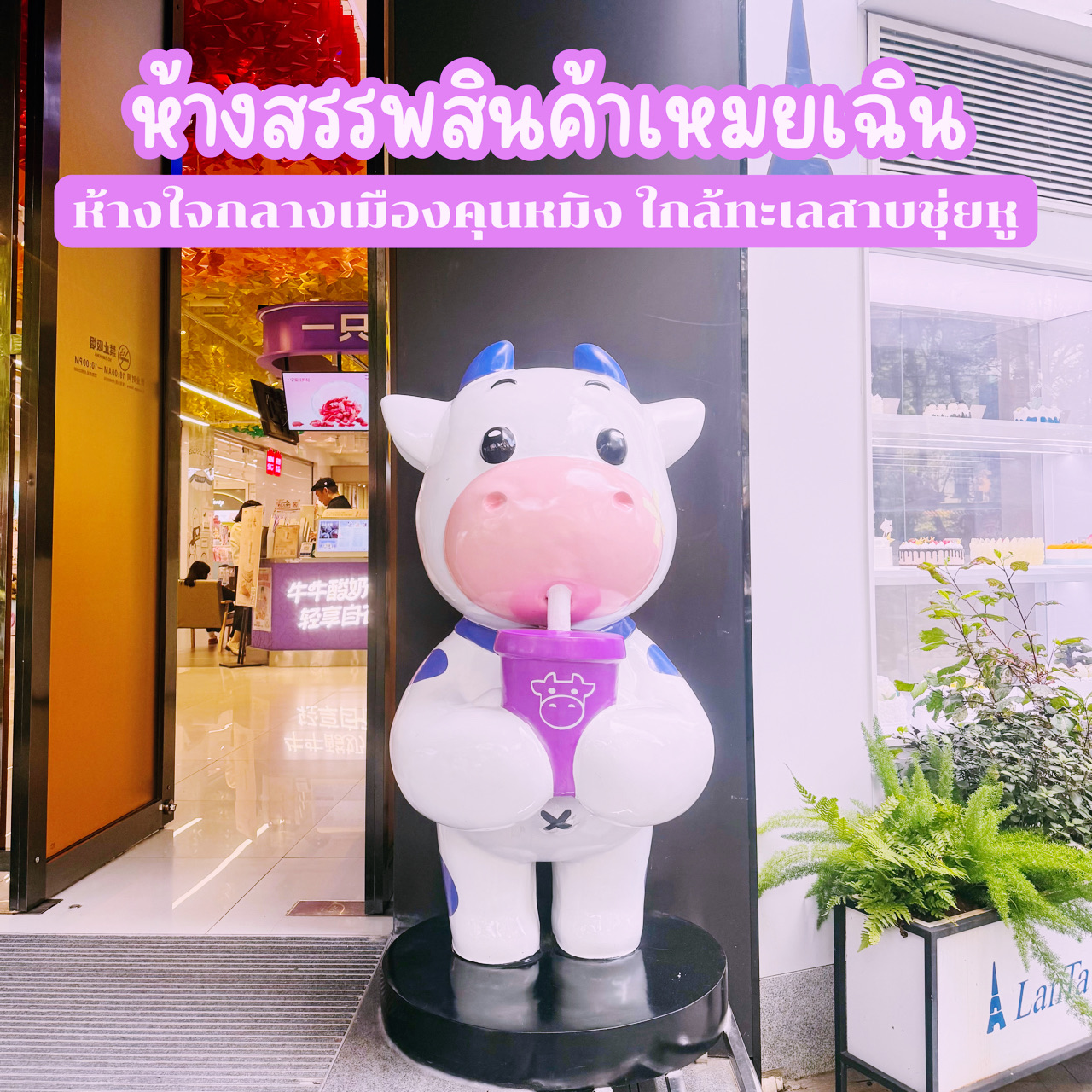 #TravelChina
📌 Meichen Department Store is located in the heart of Kunming, not far from Cuihu Lake. It's a popular shopping destination for both tourists and Kunming locals.

🌼 The mall spans multiple floors, offering a full range of fashion, dining, and lifestyle zones. The ground floor houses the fashion zone, featuring renowned brands like Nike, Adidas, Uniqlo, and H&M, as well as popular Korean and Japanese cosmetics stores like Innisfree, Etude House, and Sephora. The upper floors feature accessories, souvenirs, and lifestyle products from local Chinese brands with stylish designs like Miniso and NOME. The food zone features authentic Chinese restaurants, cozy cafes, and renowned bakeries like Heytea, Chagee, Luckin Coffee, and LanTa.

🚗 Thanks to its convenient location, Located near Panjiawan MRT Station, it's served by several bus lines, including lines 5, 26, 52, and 85, making it easily accessible from both the university district and major tourist attractions.

⏰ The mall is open daily from 10:00 AM to 10:00 PM.

💝 The surrounding area also features a small pedestrian street and local shops for strolling. Perfect for those looking to experience modern Kunming while still retaining a sense of local culture, Meichen Mall is a must-visit destination for relaxation and shopping in the heart of Kunming.

#KunmingTravel
#KunmingTrip
#KunmingLandmarks
#KunmingFood
