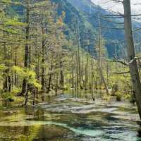 🌸 แพลนเที่ยว Nagoya + Kamikochi 4 วัน