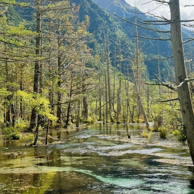 🌸 แพลนเที่ยว Nagoya + Kamikochi 4 วัน 🌸 แพลนเที่ยว Nagoya + Kamikochi 4 วัน