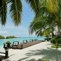 ✨ Sheraton Maldives Full Moon Resort & Spa: A Secluded Island Paradise 🌴