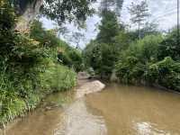 Preah Monivong Bokor National Park ឧទ្យានជាតិព្រះមុនីវង្ស បូ