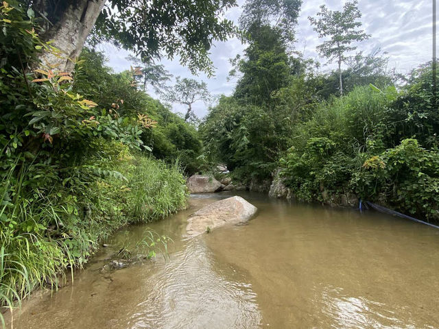 Preah Monivong Bokor National Park ឧទ្យានជាតិព្រះមុនីវង្ស បូ