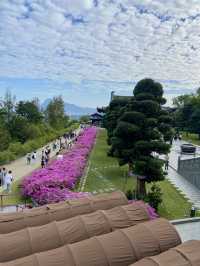 香港慈山寺✨ 感受天然與文化合一寺院 ❤️🙏🏻
